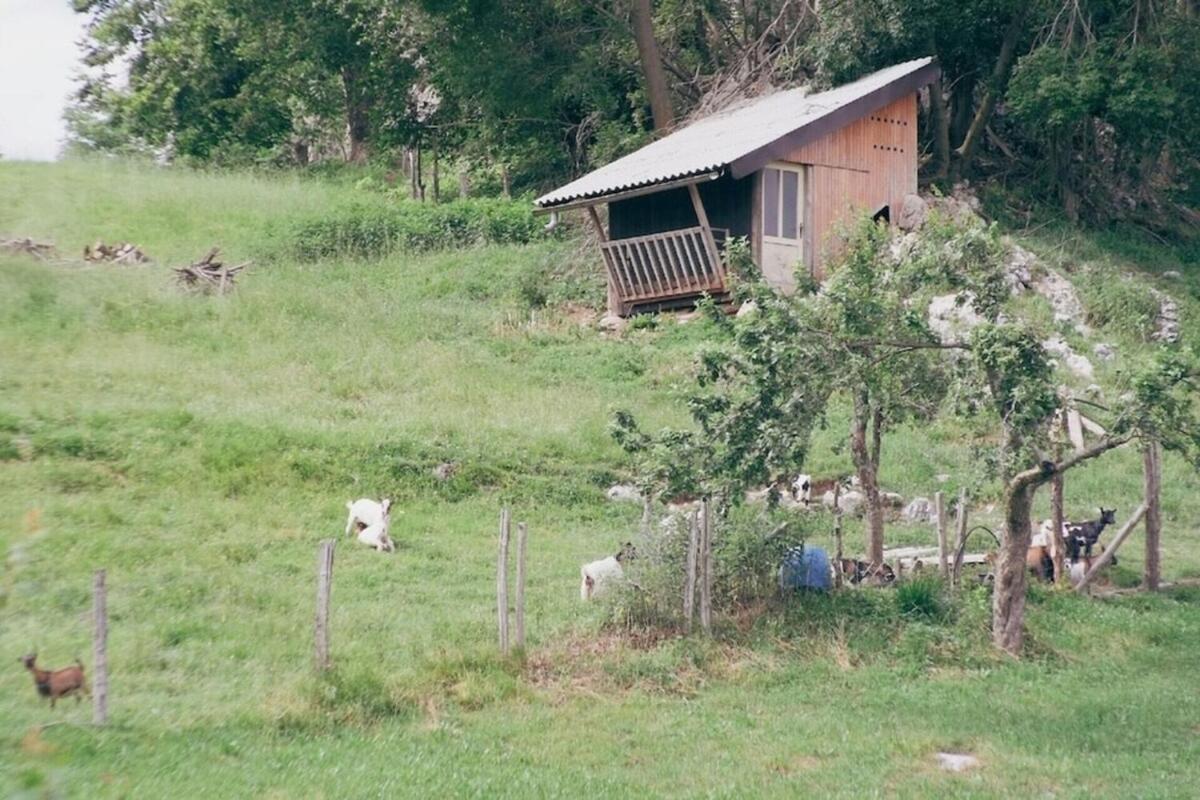 Soca Valley Berghaus Kobarid Ngoại thất bức ảnh